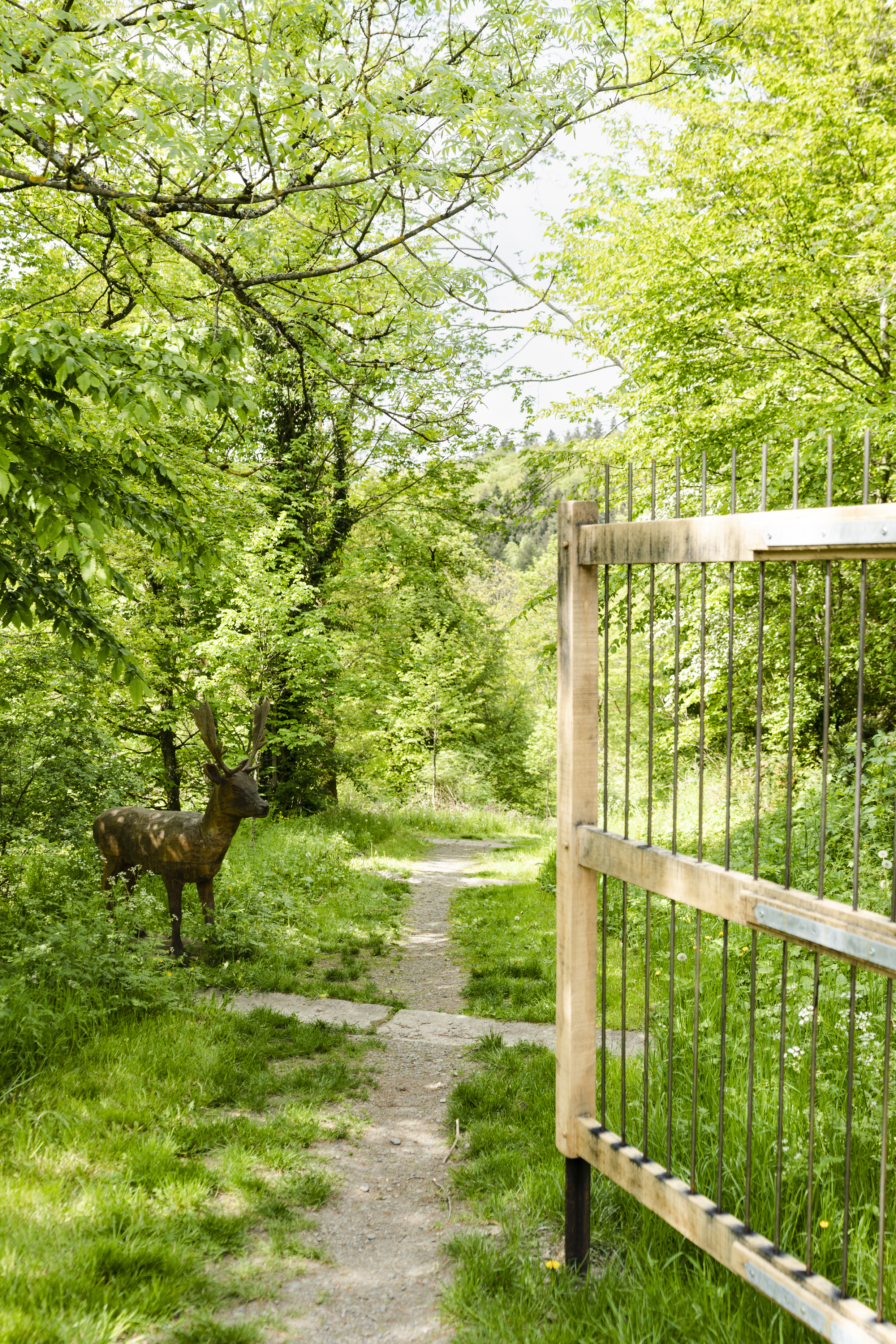 Parc animalier 2 ©Caroline Martin