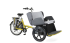 Ebike Rickshaw